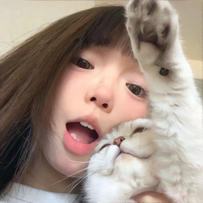 动物狂想曲第二季